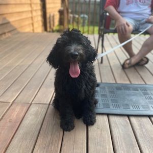 Meet your Posher, Heather